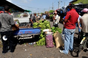 Trabajadores informales entran a seguridad social/noticias 